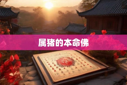 属猪的本命佛