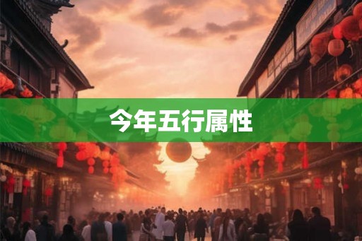 今年五行属性