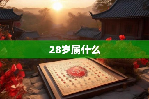 28岁属什么