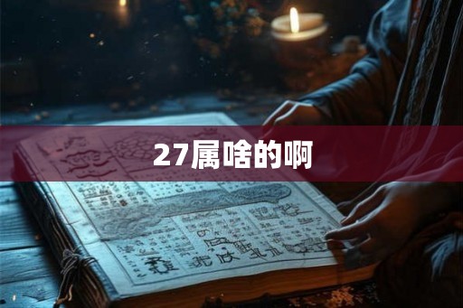 27属啥的啊