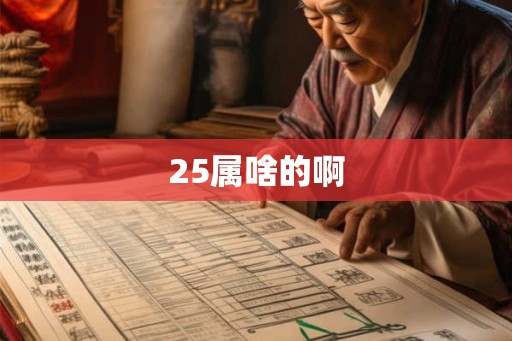 25属啥的啊