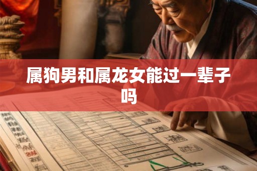 属狗男和属龙女能过一辈子吗