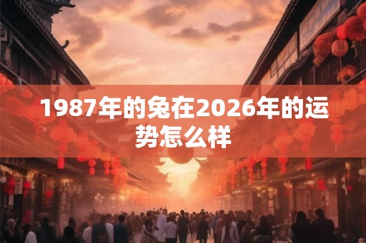 1987年的兔在2026年的运势怎么样