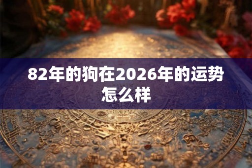 82年的狗在2026年的运势怎么样 82年的狗在2026年的运势怎么样