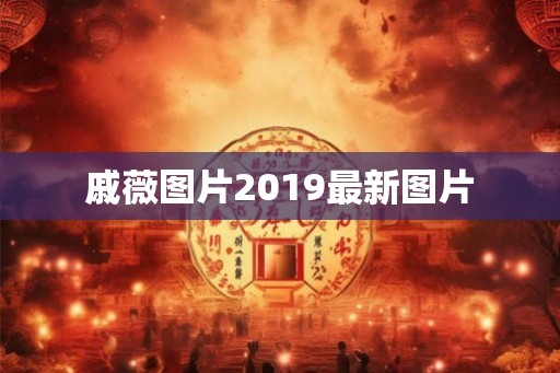 戚薇图片2019最新图片