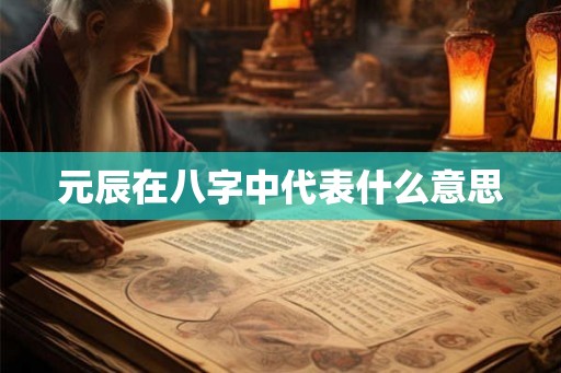 元辰在八字中代表什么意思