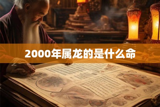 2000年属龙的是什么命