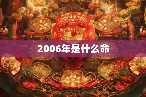 2006年是什么命