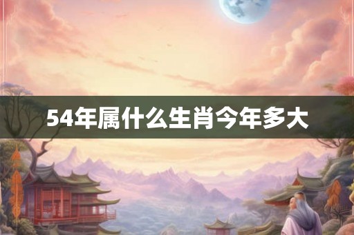 54年属什么生肖今年多大