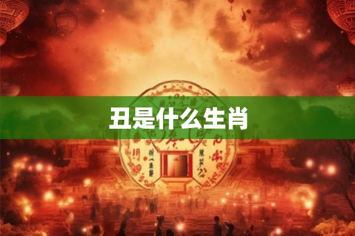 丑是什么生肖