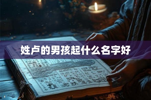 姓卢的男孩起什么名字好 姓卢的男孩起什么名字好