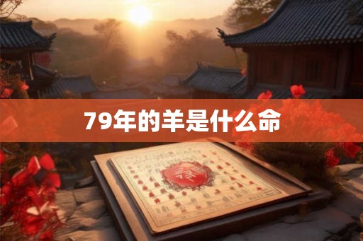 79年的羊是什么命