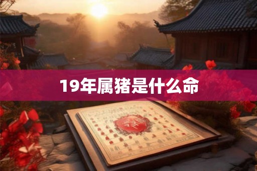 19年属猪是什么命