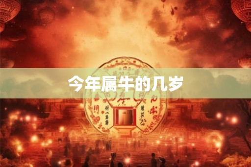 今年属牛的几岁
