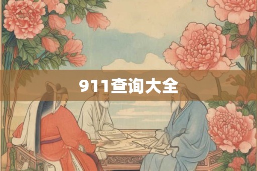 911查询大全