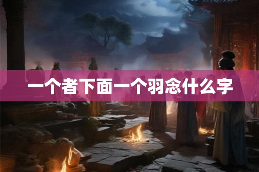 一个者下面一个羽念什么字