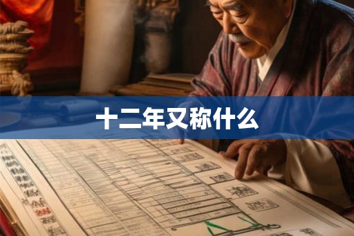 十二年又称什么
