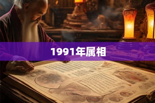 1991年属相