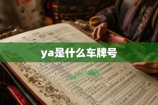 ya是什么车牌号