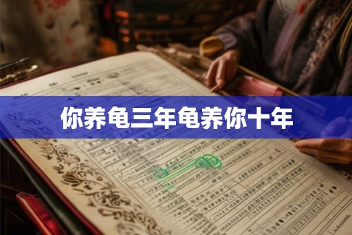 你养龟三年龟养你十年