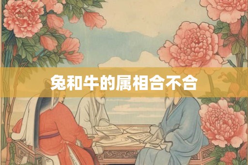 兔和牛的属相合不合