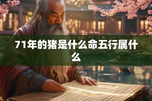 71年的猪是什么命五行属什么