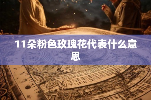 11朵粉色玫瑰花代表什么意思