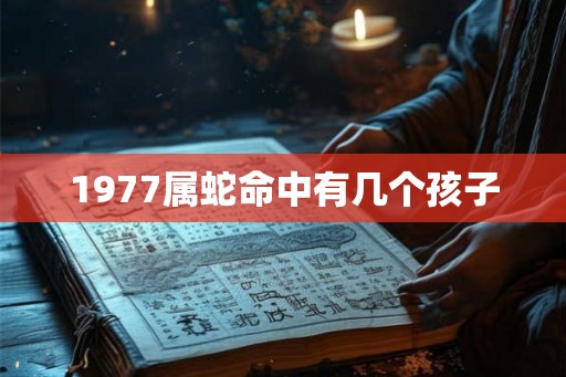 1977属蛇命中有几个孩子