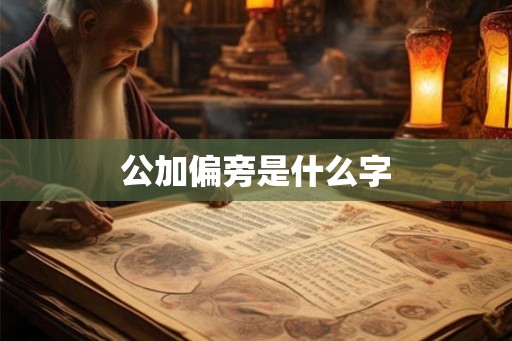 公加偏旁是什么字