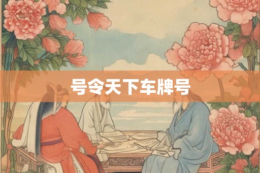 号令天下车牌号