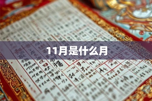 11月是什么月