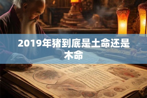 2019年猪到底是土命还是木命 2019年猪到底是土命还是木命