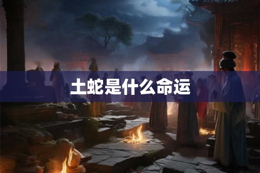 土蛇是什么命运