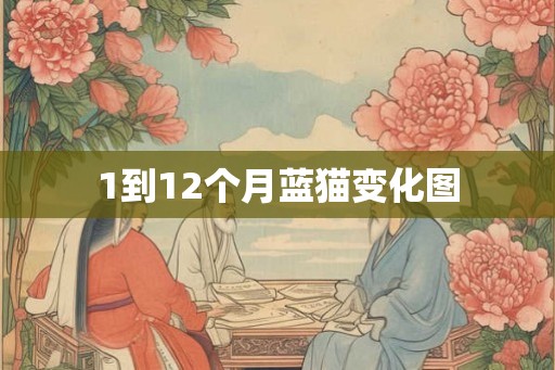 1到12个月蓝猫变化图