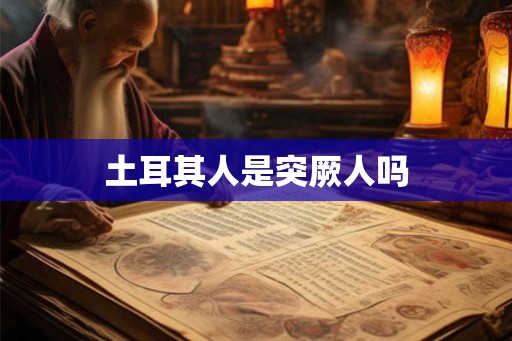 土耳其人是突厥人吗 土耳其人是突厥人吗