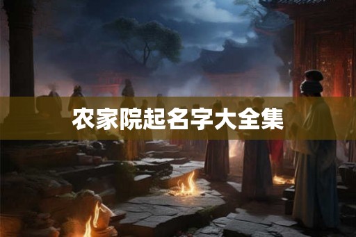 农家院起名字大全集