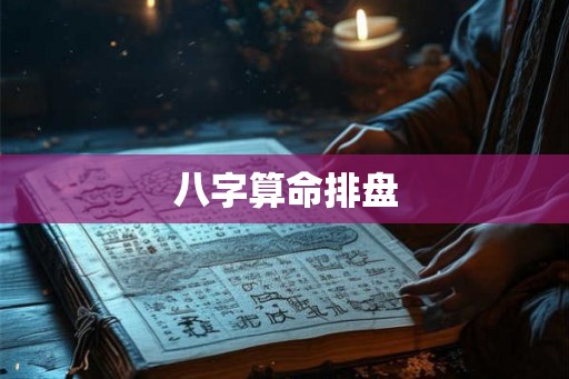 八字算命排盘 八字算命排盘
