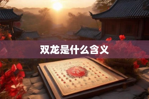 双龙是什么含义