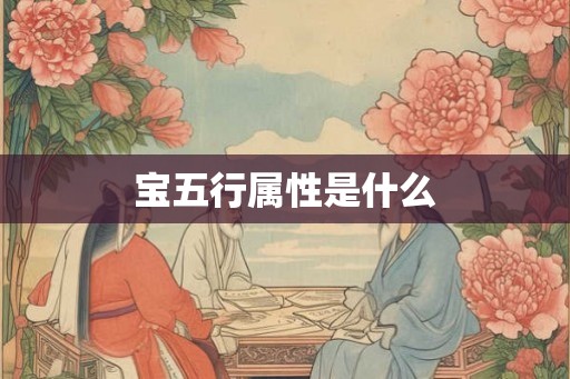宝五行属性是什么