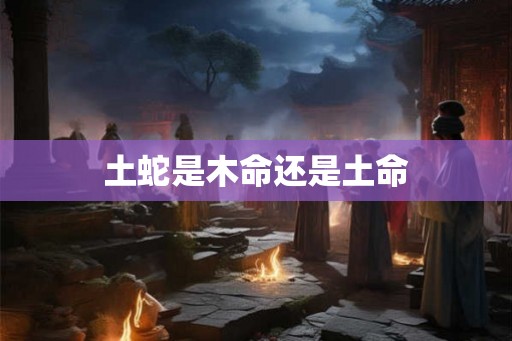 土蛇是木命还是土命