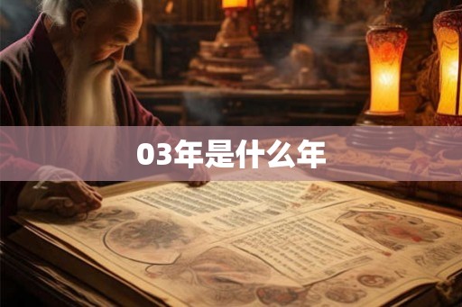 03年是什么年