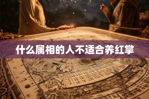 什么属相的人不适合养红掌
