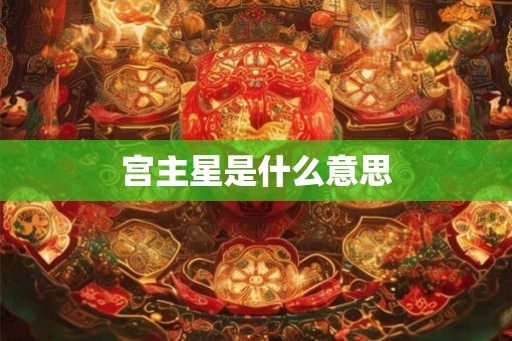 宫主星是什么意思