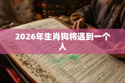 2026年生肖狗将遇到一个人