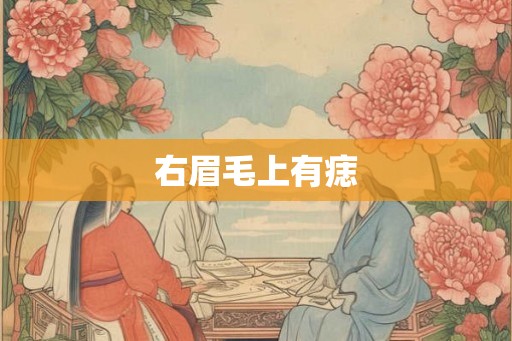 右眉毛上有痣 右眉毛上有痣