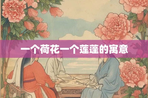 一个荷花一个莲蓬的寓意