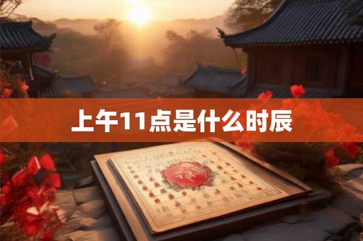 上午11点是什么时辰