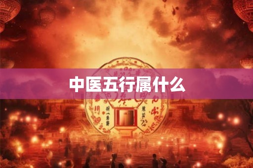 中医五行属什么