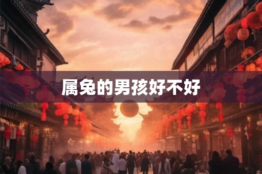 属兔的男孩好不好