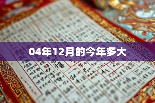 04年12月的今年多大